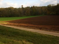 Impressionen - Reichelsburg (23).JPG