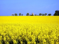 Impressionen - Sonstiges (08).JPG