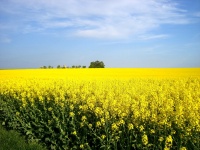 Impressionen - Sonstiges (10).JPG