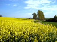 Impressionen - Sonstiges (13).JPG