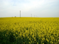 Impressionen - Sonstiges (14).JPG
