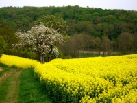 Impressionen - Sonstiges (16).JPG