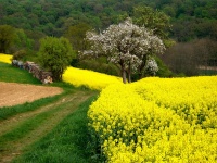 Impressionen - Sonstiges (19).JPG