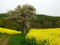 Impressionen - Sonstiges (21).JPG