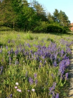 Impressionen - Sonstiges (23).JPG