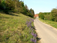 Impressionen - Sonstiges (25).JPG