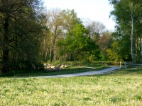 Impressionen - Sonstiges (27).JPG