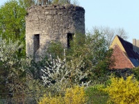 Impressionen - Sonstiges (32).JPG