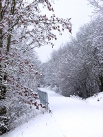 Impressionen - Winterstimmungen (05).JPG