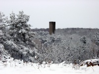 Impressionen - Winterstimmungen (06).JPG
