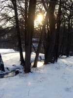 Impressionen - Winterstimmungen (12).JPG