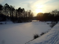 Impressionen - Winterstimmungen (15).JPG