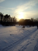 Impressionen - Winterstimmungen (16).JPG