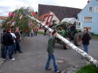 2008.04.30 - Maibaumaufstellen (16).JPG