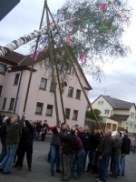 2008.04.30 - Maibaumaufstellen (22).JPG