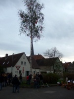 2008.04.30 - Maibaumaufstellen (28).JPG