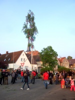 2009.04.30 - Maibaumaufstellen (26).JPG