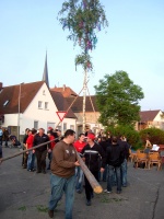 2009.04.30 - Maibaumaufstellen (28).JPG