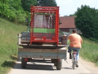 2008.05.24 - RBF Samstag (30).JPG