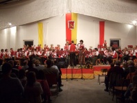2008.11.15 - Herbstkonzert (182).JPG