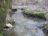 2015.Q1 - Impressionen (10).JPG