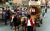 1983.07.1-3 - Kreismusikfest (039).jpg