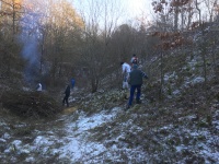 2017.01.21 - Ausholzen RB (2).JPG