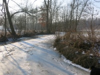 2017.01 - Schlittschuh am See (224).JPG