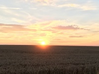 2016 - Impressionen (20).JPG