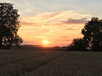 2016 - Impressionen (22).JPG