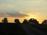2016 - Impressionen (24).JPG