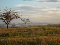 2012 - Stimmungen (29).JPG