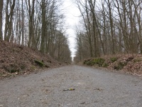 2015 - Impressionen (237).JPG