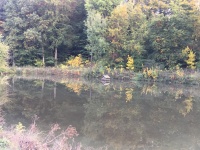 2016.10.23 - Spaziergang (09).JPG