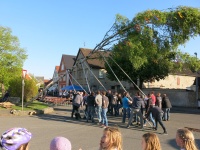 2017.04.30 - Maibaum (45).JPG