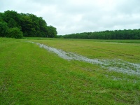 2013.05.31 - Hochwasser RBF (02).JPG