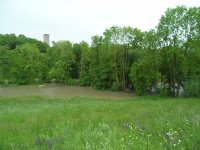 2013.05.31 - Hochwasser RBF (06).JPG