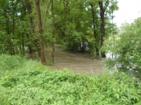 2013.05.31 - Hochwasser RBF (07).JPG