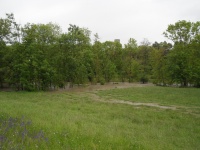 2013.05.31 - Hochwasser RBF (23).JPG