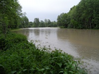 2013.05.31 - Hochwasser RBF (25).JPG