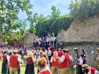2017.07.09 - Umzug Kreismusikfest Aub (19).JPG