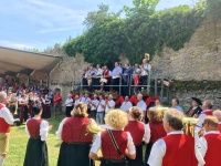 2017.07.09 - Umzug Kreismusikfest Aub (21).JPG