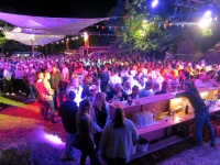 2017.06.16 - RBF Beatabend (40).JPG
