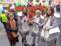 2018.02.11 - Faschingsumzug Wuerzburg (51).JPG