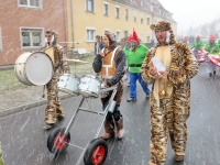 2018.02.12 - Faschingsumzug Veitshoechheim (24).JPG