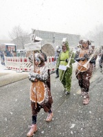 2018.02.12 - Faschingsumzug Veitshoechheim (30).JPG