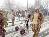 2018.02.12 - Faschingsumzug Veitshoechheim (37).JPG