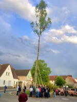 2018.04.30 - Maibaumaufstellen (01).JPG