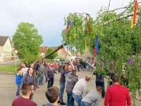 2018.04.30 - Maibaumaufstellen (11).JPG