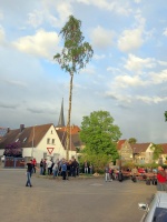 2018.04.30 - Maibaumaufstellen (17).JPG